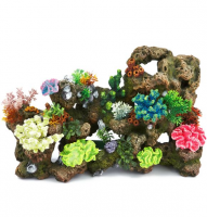 Reef Items