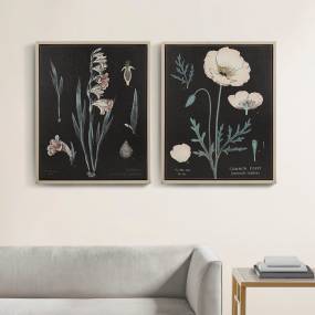 Martha Stewart Eventide Flourish Botanical Contrast Framed Linen Canvas 2 Piece Set in Black Multi - Olliix MT95C-0076