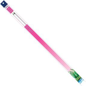 Aqueon T8 Colormax Fluorescent Lamp - LeeMarPet 100100451