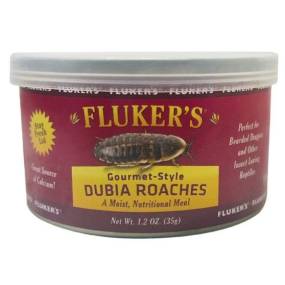 Flukers Gourmet Style Dubia Roaches - LeeMarPet 78005