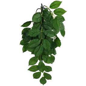 Komodo Grean Leaf Hanging Vine Terrarium Plant - LeeMarPet 93303