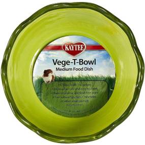 Kaytee Veg-T-Bowl - Cabbage - LeeMarPet 100079897
