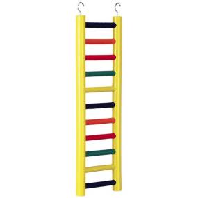 Prevue Carpenter Creations Hardwood Bird Ladder Assorted Colors - LeeMarPet 1138
