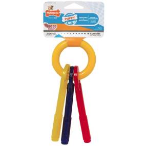 Nylabone Puppy Chew Teething Keys Chew Toy - LeeMarPet N220P