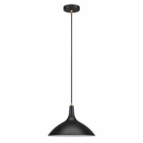 Barton Matte Black Metal Pendant with Brass Accents - Hudson & Canal PD0758