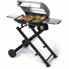 All Foods Roll-Away Portable Outdoor LP Gas Grill - Cuisinart CGG-240