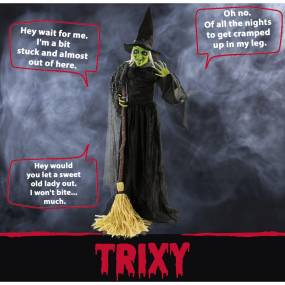 Life-Size Animatronic Witch, Indoor/Outdoor Halloween Decoration, Talking, Poseable, Battery-Operated - Haunted Hill Farm HHWITCH-14FLSA