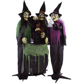 Life-Size Animatronic Witches, Indoor/Outdoor Halloween Decoration, Light-up Eyes, Poseable, Battery-Operated - Haunted Hill Farm HHWITCH-15FLS